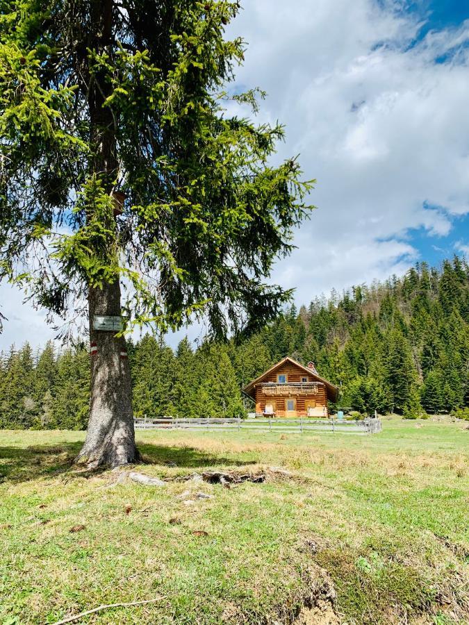 Bergheimat Apartman Bad Goisern Kültér fotó